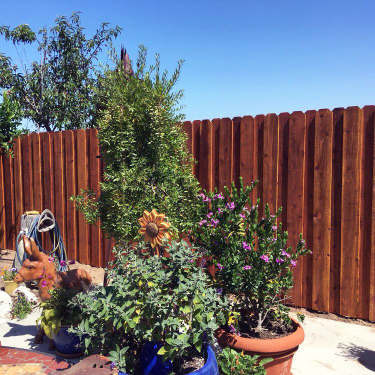 DIY-Fencing-Made-Simple-materials