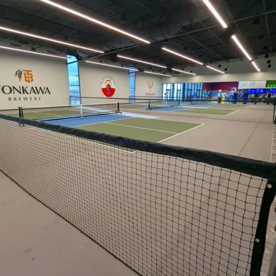 Chain link court fencing with netting